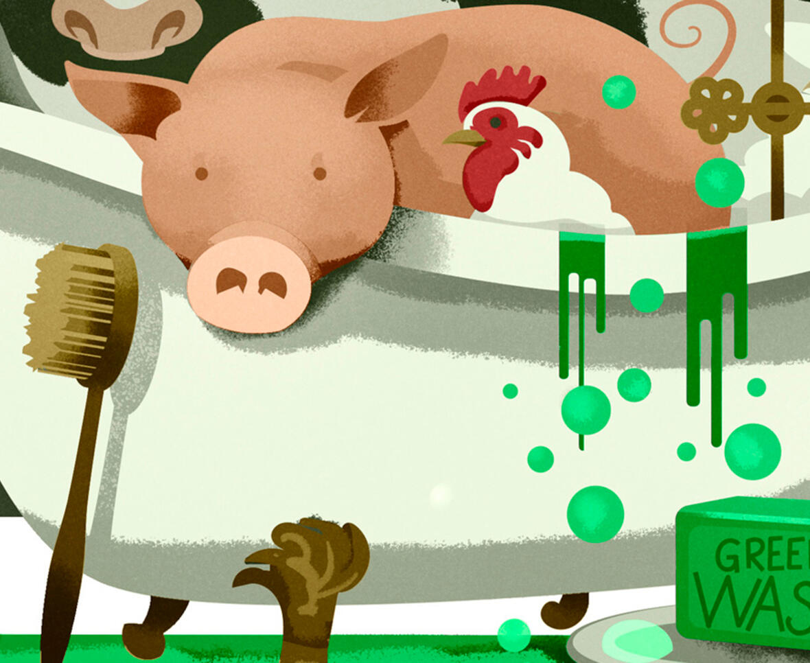 grafik af en gris og høne i et badekar med grøn sæbe