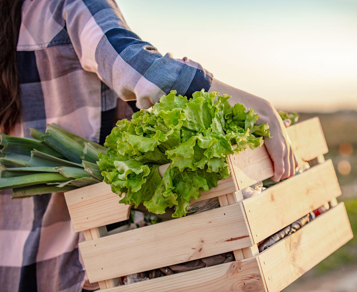 kvinde går med kasse fuld af grøntsager, så hun kan spise mere bæredygtigt. 