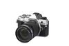 OM-5 + M.ZUIKO DIGITAL 14-150 mm 1:4.0-5.6 II ED MSC OM SYSTEM