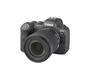 EOS R6 + RF 24-105mm 1:4-7.1 IS STM Canon