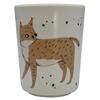 Cup, Nightfall Sebra
