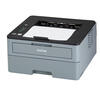 HL-L2310D Brother