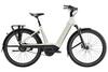 Charter+ 4 Enviolo Riem 540Wh Trek