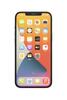 iPhone 12 Pro Max Apple