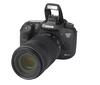 EOS 7D Mark II + EF 70-300mm 1:4-5.6 IS II USM Canon