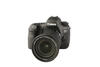 EOS 6D Mark II + EF 24-105mm 1:3.5-5.6 IS STM Canon