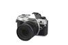 OM-5 + M.ZUIKO DIGITAL ED 12-45mm 1:4 Pro OM SYSTEM