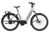 Charter+ 5 Auto 540Wh Trek