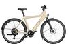 Culture touring LED Remote 650Wh Riese & Müller