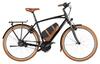 Cruiser2 Rücktritt Kiox 300 725Wh Riese & Müller