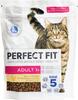 Adult 1+ Rich in chicken Perfect Fit