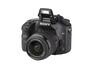 Alpha 68 + DT 18-55mm 1:3.5-5.6 SAM II Sony