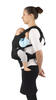 Adapt Ergobaby