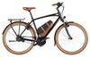 Cruiser2 rücktritt Kiox 300 725Wh Riese & Müller