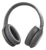 WH-H910N Sony